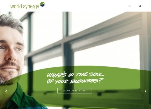 How worldsynergy.com looks like on a tablet such as an iPad.