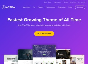 How wpastra.com looks like on a tablet such as an iPad.