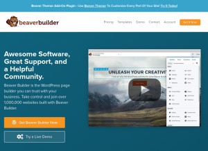 How wpbeaverbuilder.com looks like on a tablet such as an iPad.