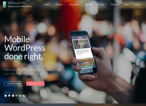 How wptouch.com looks like on a tablet such as an iPad.