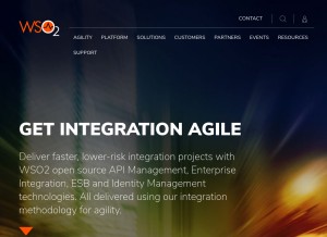 How wso2.com looks like on a tablet such as an iPad.