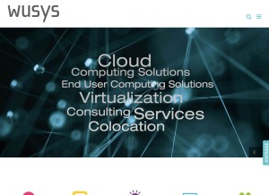 How wusys.com looks like on a tablet such as an iPad.