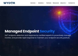 How wydur.com looks like on a tablet such as an iPad.