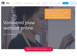 How xel.nl looks like on a tablet such as an iPad.