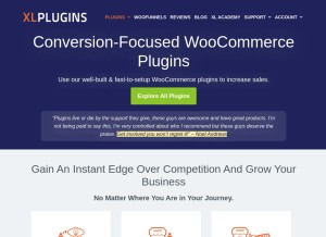 How xlplugins.com looks like on a tablet such as an iPad.