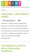 How xpertdeveloper.com looks like on a mobile device such as an iPhone.