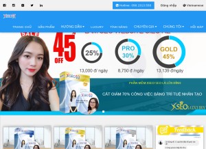 How xseo.vn looks like on a tablet such as an iPad.