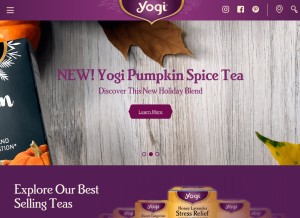 How yogiproducts.com looks like on a tablet such as an iPad.