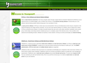 How youngzsoft.com looks like on a tablet such as an iPad.