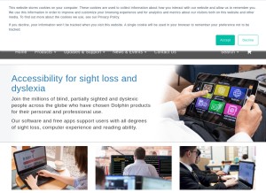 How yourdolphin.com looks like on a tablet such as an iPad.