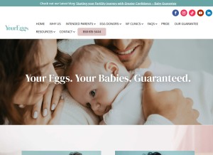 How youreggs.com looks like on a tablet such as an iPad.