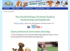 How yourpurebredpuppy.com looks like on a tablet such as an iPad.