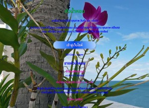 How zateer.com looks like on a tablet such as an iPad.