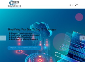 How zegsolutions.com looks like on a tablet such as an iPad.