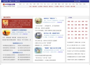 How zhlzw.com looks like on a tablet such as an iPad.