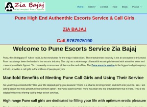 How ziabajaj.com looks like on a tablet such as an iPad.