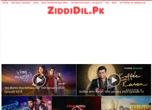 How ziddidil.com.pk looks like on a tablet such as an iPad.