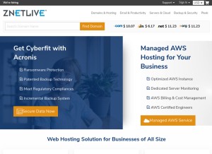 How znetlive.com looks like on a tablet such as an iPad.