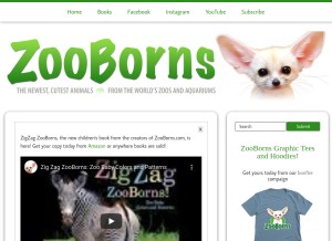 How zooborns.com looks like on a tablet such as an iPad.