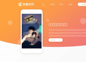 How zookingsoft.com looks like on a tablet such as an iPad.