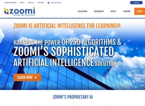 How zoomiinc.com looks like on a tablet such as an iPad.