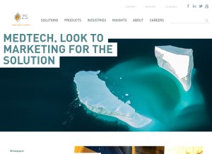 How zs.com looks like on a tablet such as an iPad.