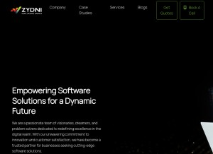 How zydni.com looks like on a tablet such as an iPad.